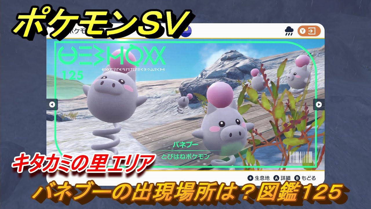 ポケモンＳＶ　バネブーの出現場所は？図鑑１２５　キタカミの里エリア　＃４４９　【DLCゼロの秘宝　碧の仮面・藍の円盤】