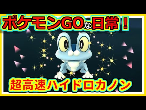 【ポケモンGOな日常】コミュニティデイ：ケロマツ編【ポケモンGO】