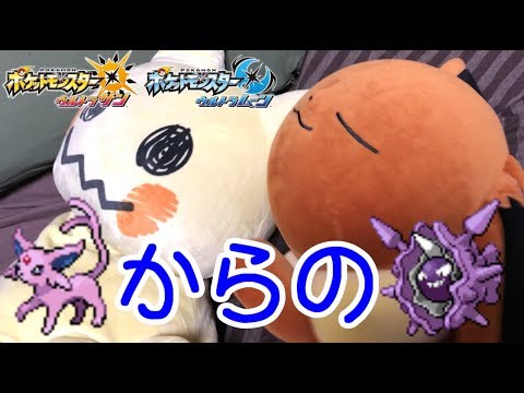 エーフィのケツをがっちり掴んでパルパルしたすぎるｗｗｗ【ポケモンUSUM実況】