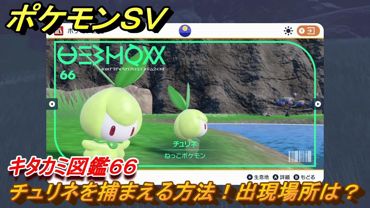 ポケモンＳＶ　チュリネを捕まえる方法！出現場所は？　キタカミ図鑑６６　ポケモン図鑑を完成させよう！　＃７５　【DLCゼロの秘宝　碧の仮面・藍の円盤】