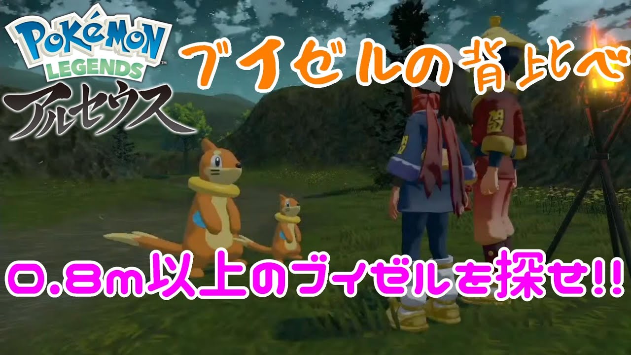 【Pokémon LEGENDS アルセウス】0.8m以上のブイゼルを探せ！！【ブイゼルの背比べ】