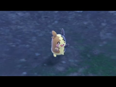 碧の仮面 モルペコ 場所 攻略 Part17 #ポケモンSV #ポケモンバイオレット #ポケモンスカーレット #碧の仮面