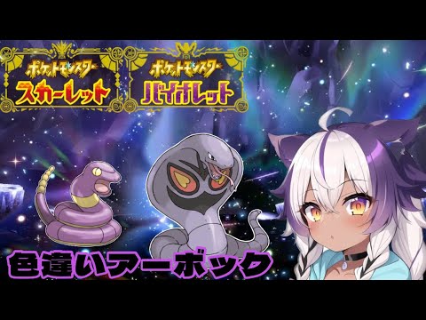 【ポケモンSV】色違いアーボ → アーボック【ポケットモンスタースカーレットバイオレット】