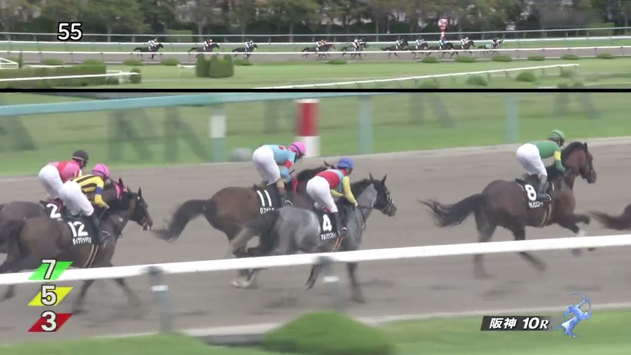 2023 10 01 阪神10R 堺ステークス ホウオウルーレト(岩田康誠)