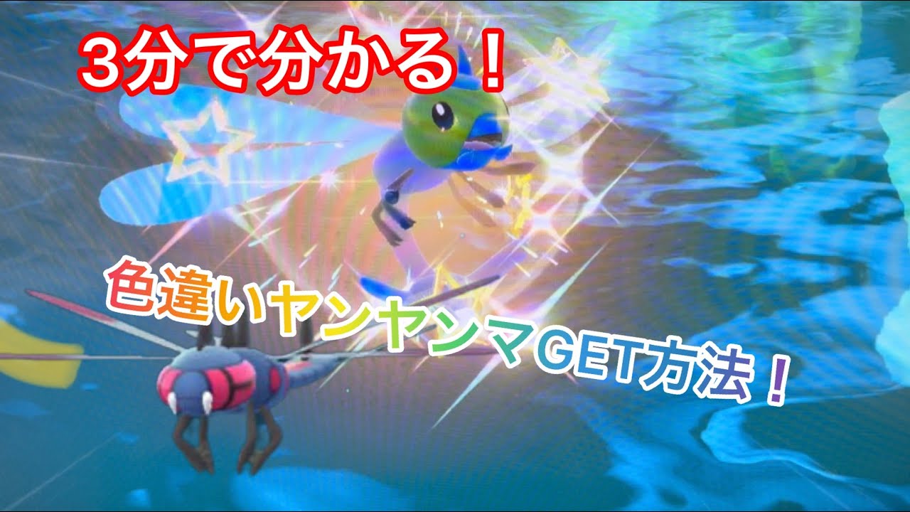3分で分かる！色違いヤンヤンマGETの旅！