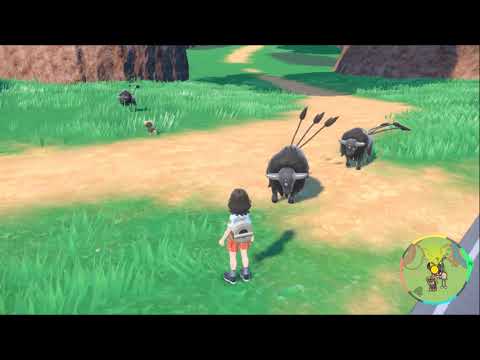 【ポケモンSV】パルデアケンタロスの出現場所・行き方【スカーレットバイオレット】