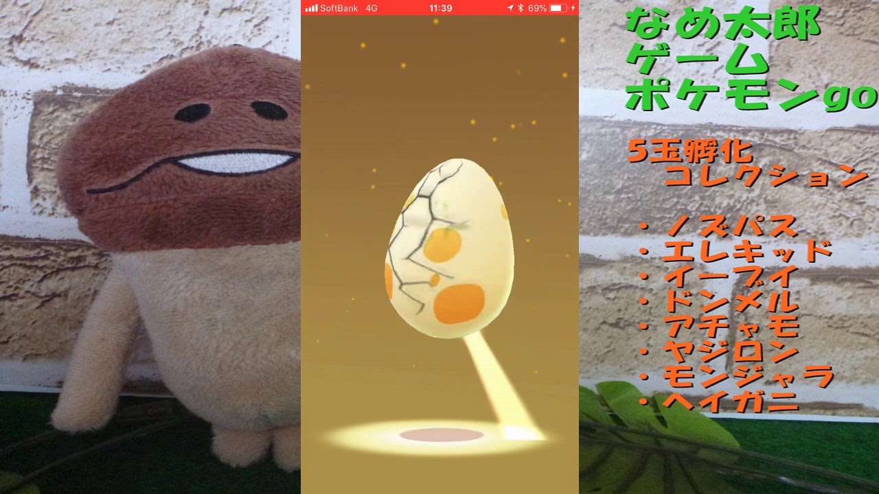 【ポケモンgo】5玉孵化コレクション、「ノズパス」「エレキッド」「イーブイ」「ドンメル」「アチャモ」「ヤジロン」「モンジャラ」「ヘイガニ」