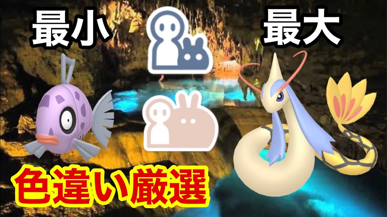 【最大サイズ 完】最小と最大サイズ色違いヒンバス厳選 ＃２【ポケモンSV/碧の仮面】