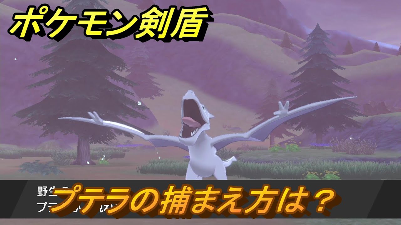 ポケモン剣盾　プテラを捕まえる方法！オススメの場所は？天気は？ポケモン図鑑コンプへの道！　最新版【ポケモンソード・シールド】