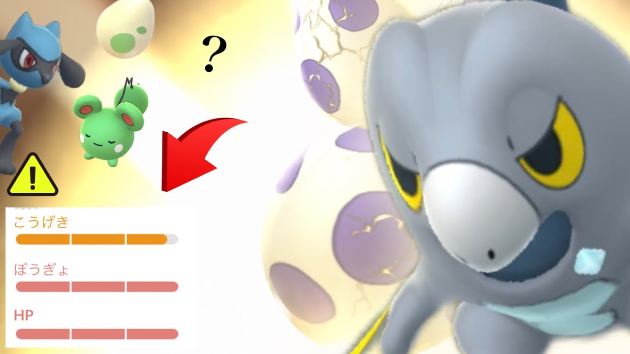 【レアタマゴ割り】激アツの結果報告！１０ｋｍであの〇〇超個体！？豪華ボーナスと初ゲットの時がきた・・？【ルリリ・ふかの日・セビエ・色違いポケモン】