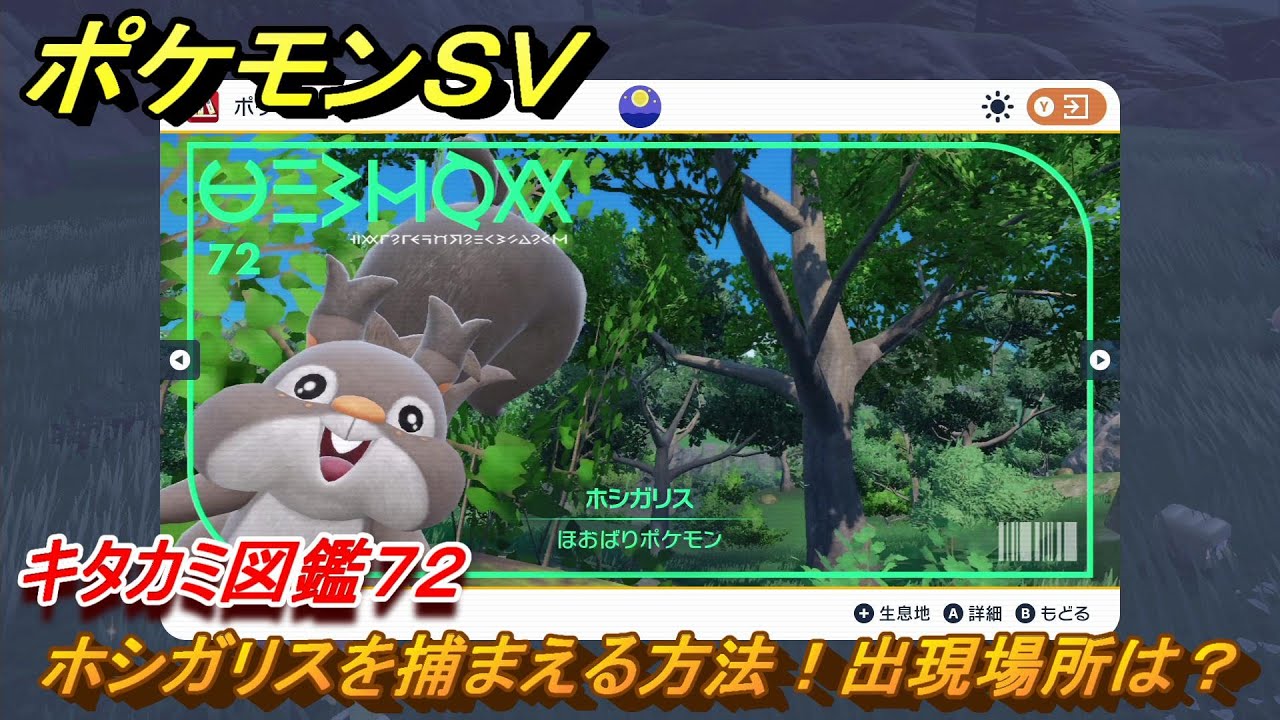 ポケモンＳＶ　ホシガリスを捕まえる方法！出現場所は？　キタカミ図鑑７２　ポケモン図鑑を完成させよう！　＃８１　【DLCゼロの秘宝　碧の仮面・藍の円盤】