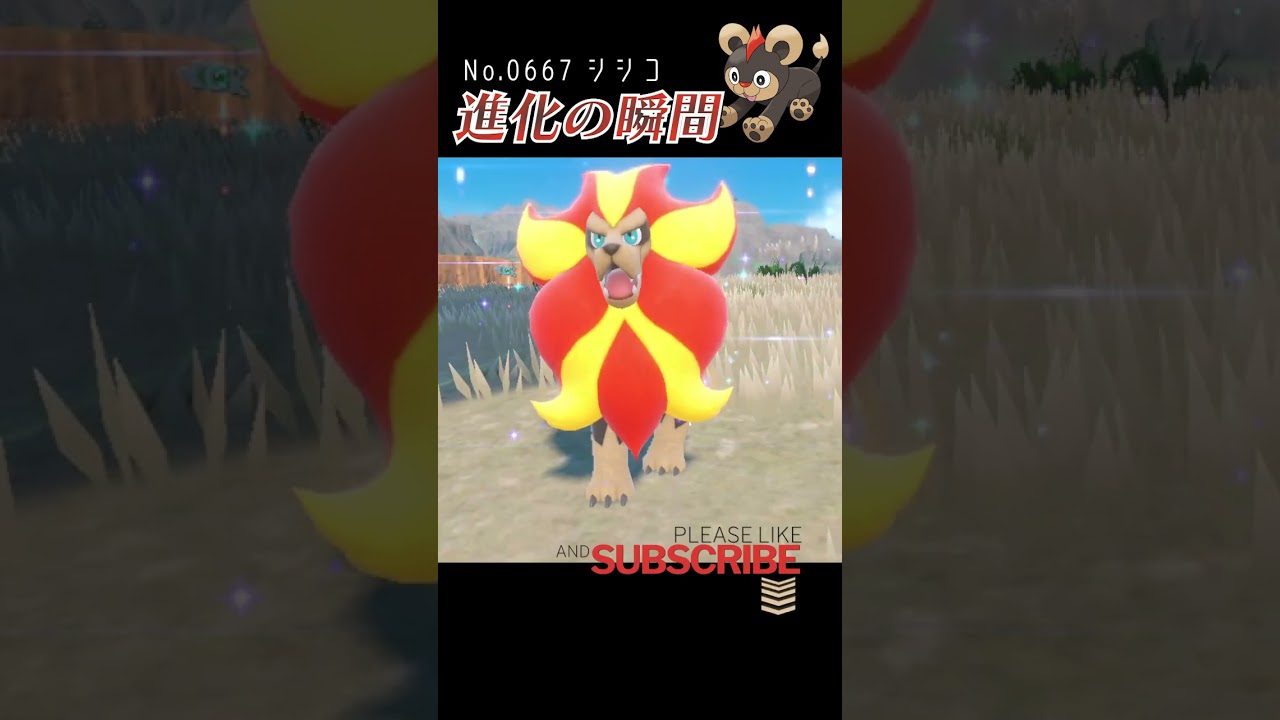 【バイオレット】シシコ 進化の瞬間 #shorts 【オスのすがた】