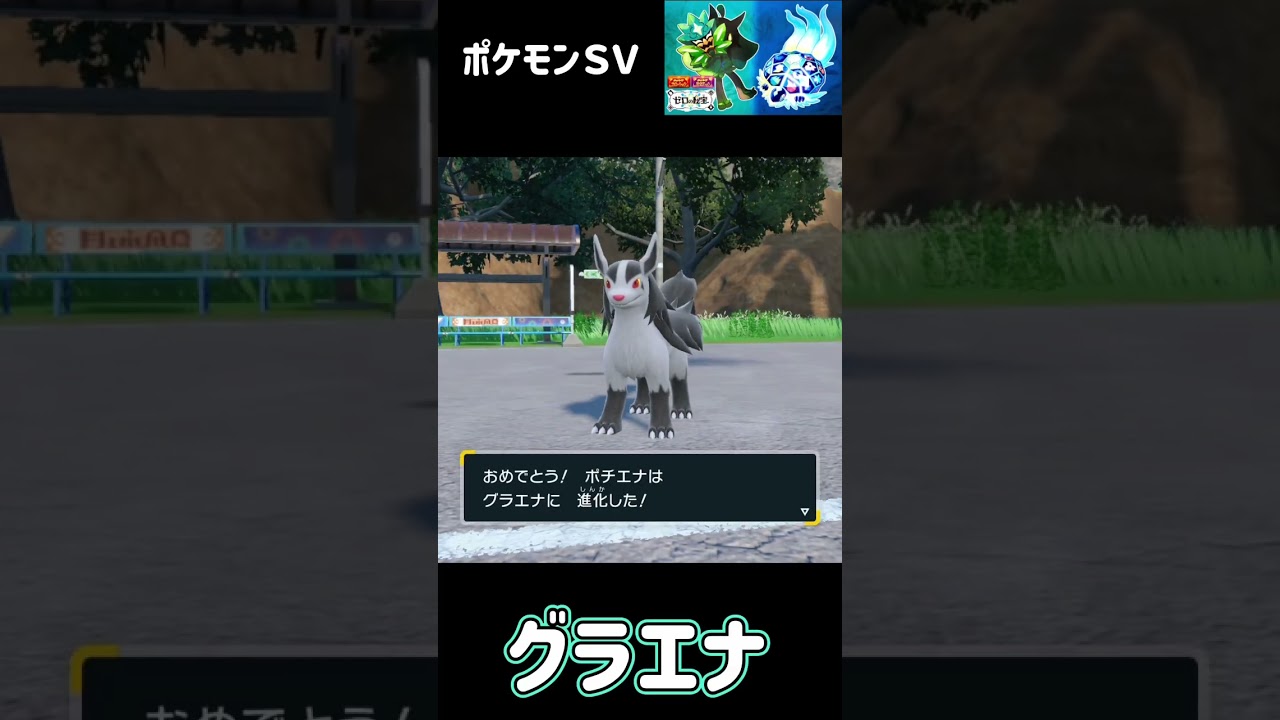 ポチエナ　進化　グラエナ　ポケモンSV みどりの仮面 #pokemon