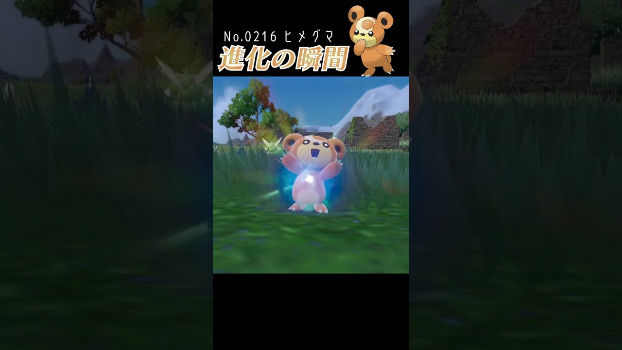 【バイオレット】ヒメグマ 進化の瞬間 #shorts