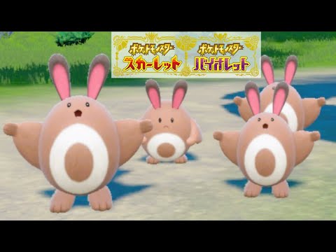 【可愛い】オタチ６匹に囲まれて癒されピクニック【ポケモンSV】