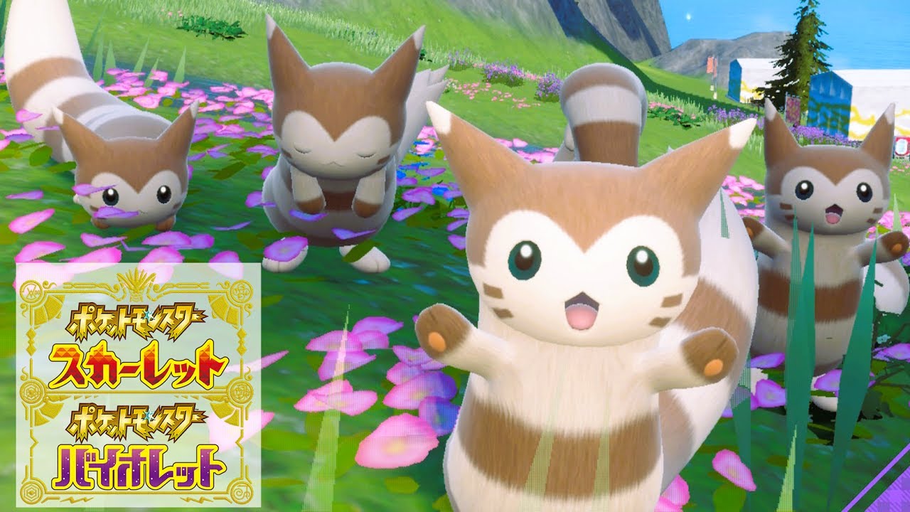 【可愛い】オオタチ６匹に囲まれて癒されピクニック【ポケモンSV】