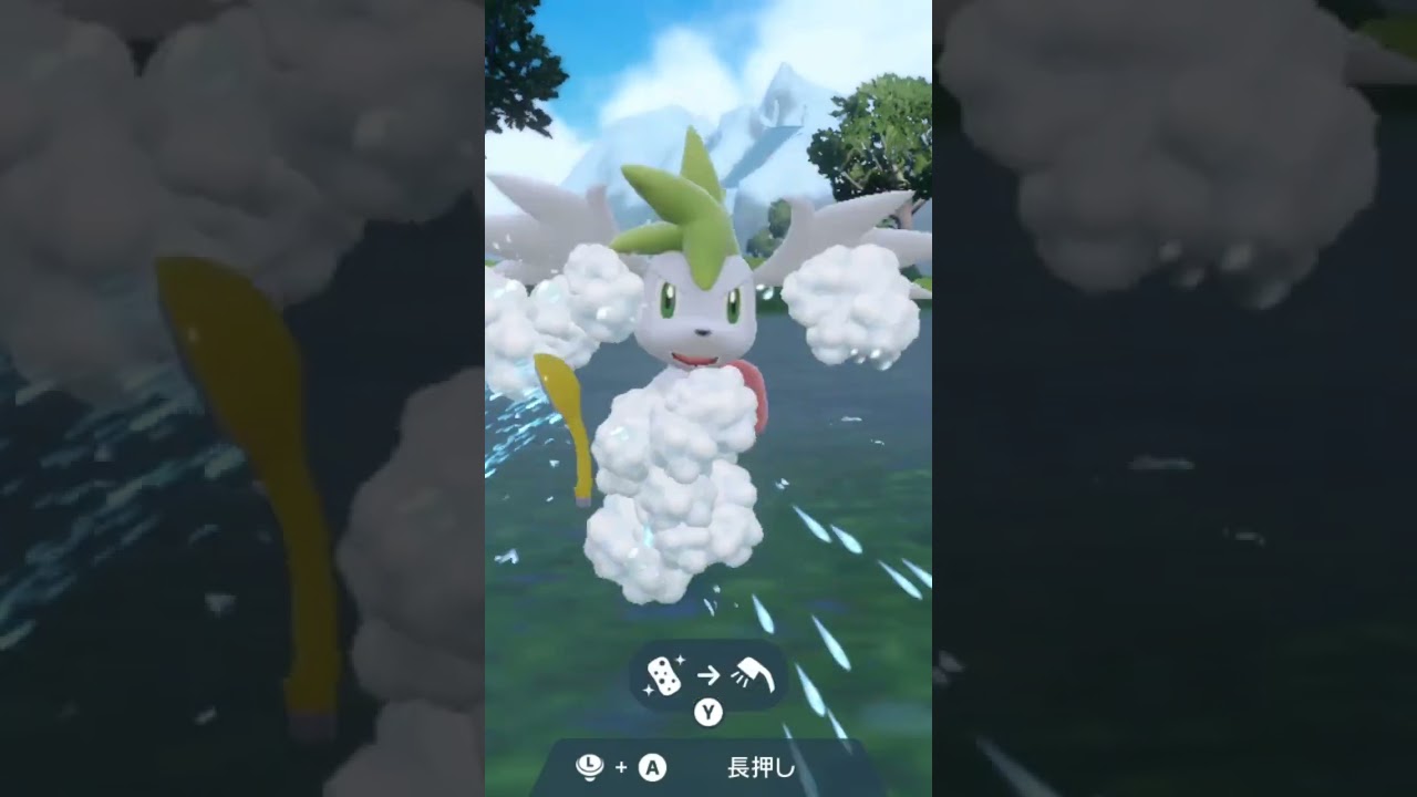 シェイミ スカイフォルム Shaymin Skyform【ポケモンsv】