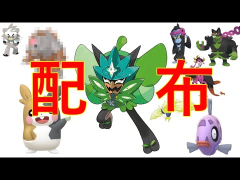 【先着順】レアポケ（諸説ある）配布する【ポケモンSV】【色違いモルペコ】【剣盾＆アルセウス＆DLC難民向け】