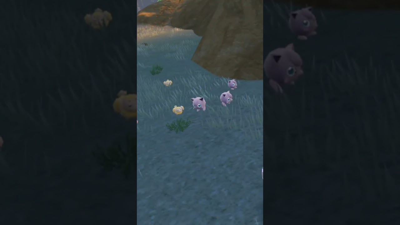 野生プリン2匹の超可愛い仕草&色違いププリン？(見逃した)【ポケモンsv】