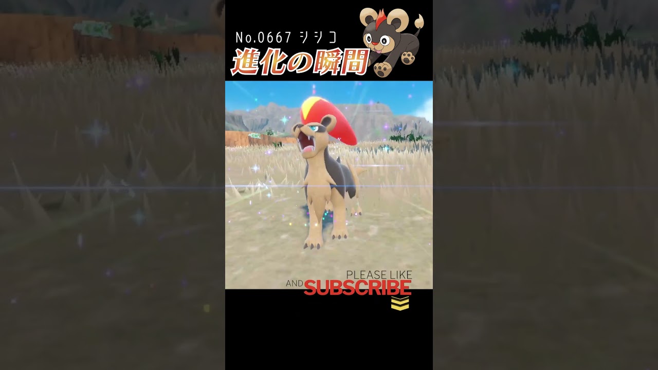 【バイオレット】シシコ 進化の瞬間 #shorts 【メスのすがた】