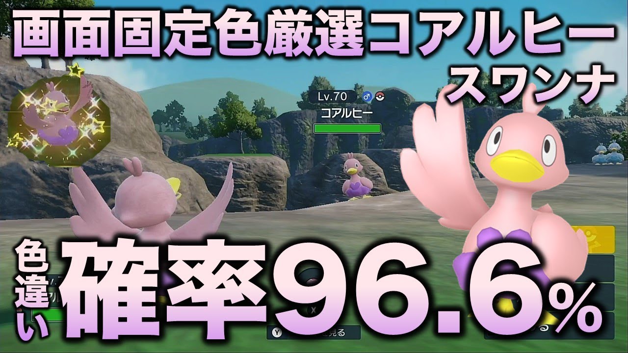 【画面固定!!色厳選】コアルヒー・スワンナ編!!【ポケモンSV/スカーレット・バイオレット】