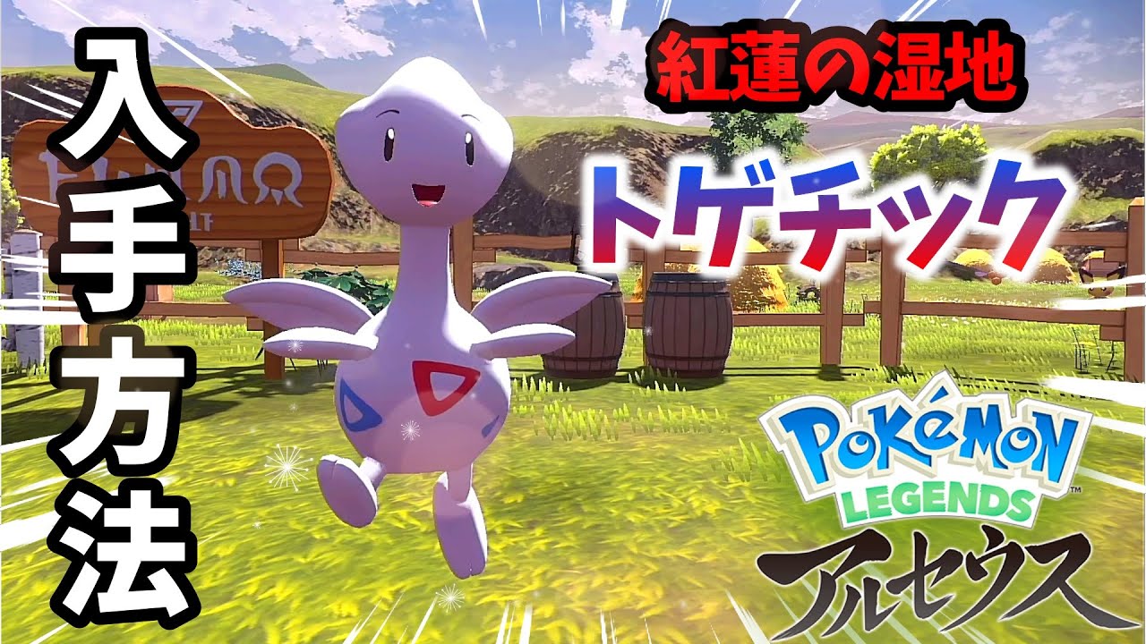 紅蓮の湿地 トゲチック 私がみかけた場所 【ポケモンアルセウス 】