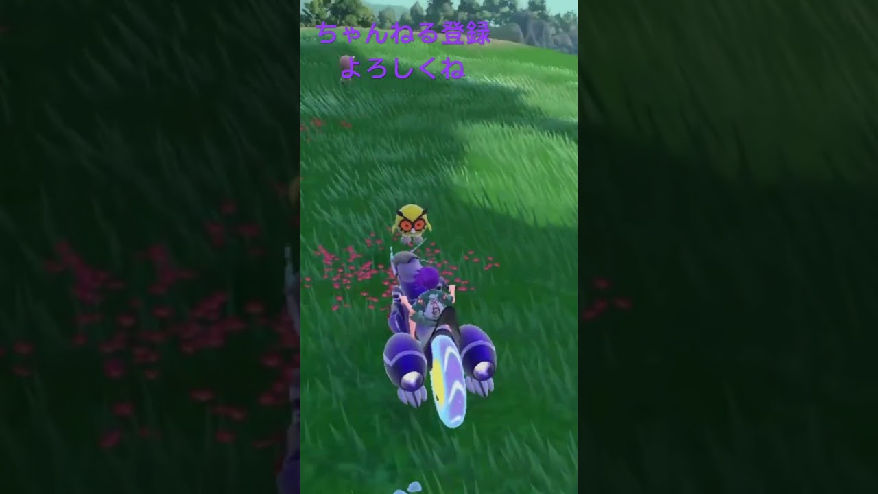 色違いホーホーいた #ポケモン #ポケモンsv #gameplay #pokemon #shiny #色違い