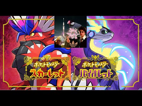 【ポケモンSV】 色証厳選始めました！！　ヤンヤンマなう