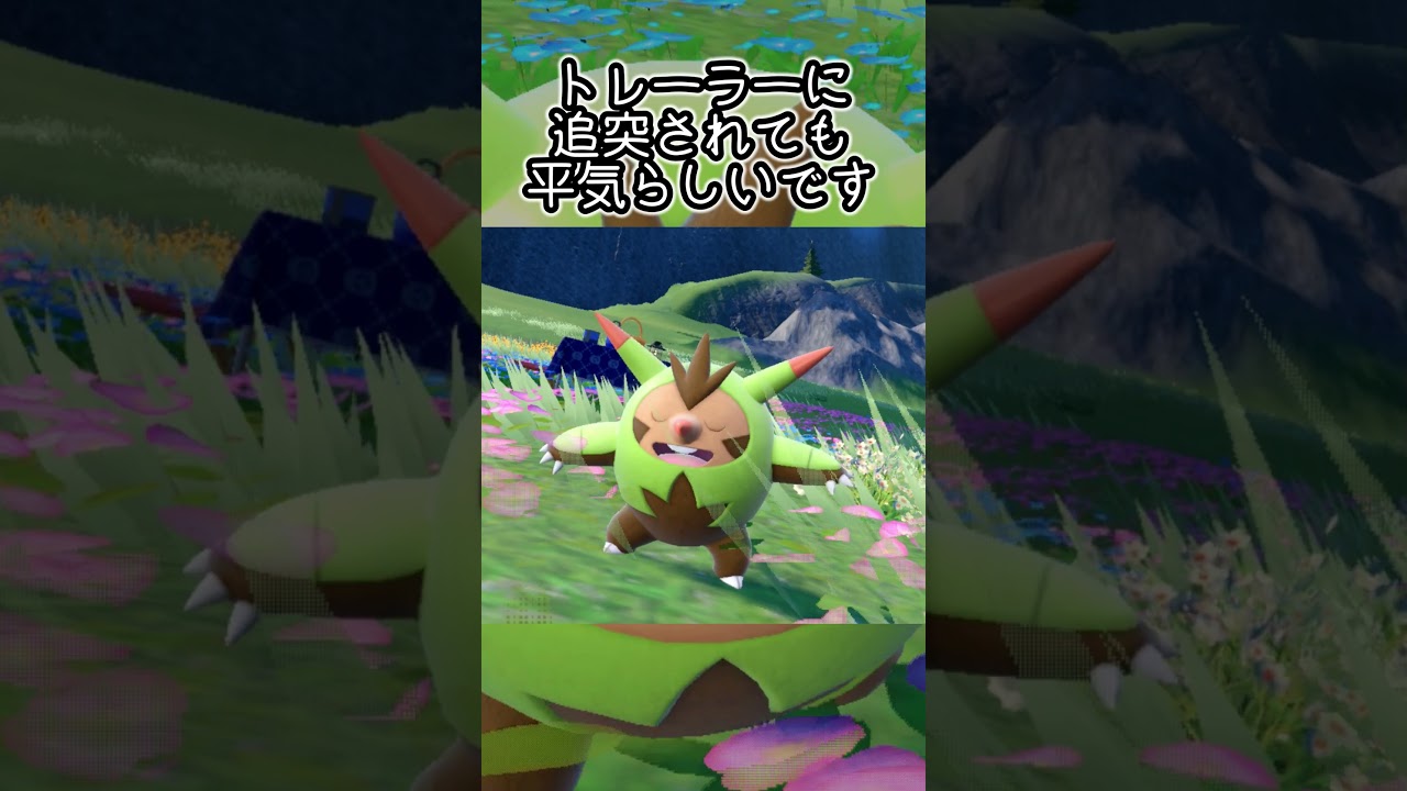 【疲れた人向け】ハリボーグ6匹とピクニック【ポケモンSV】#Shorts