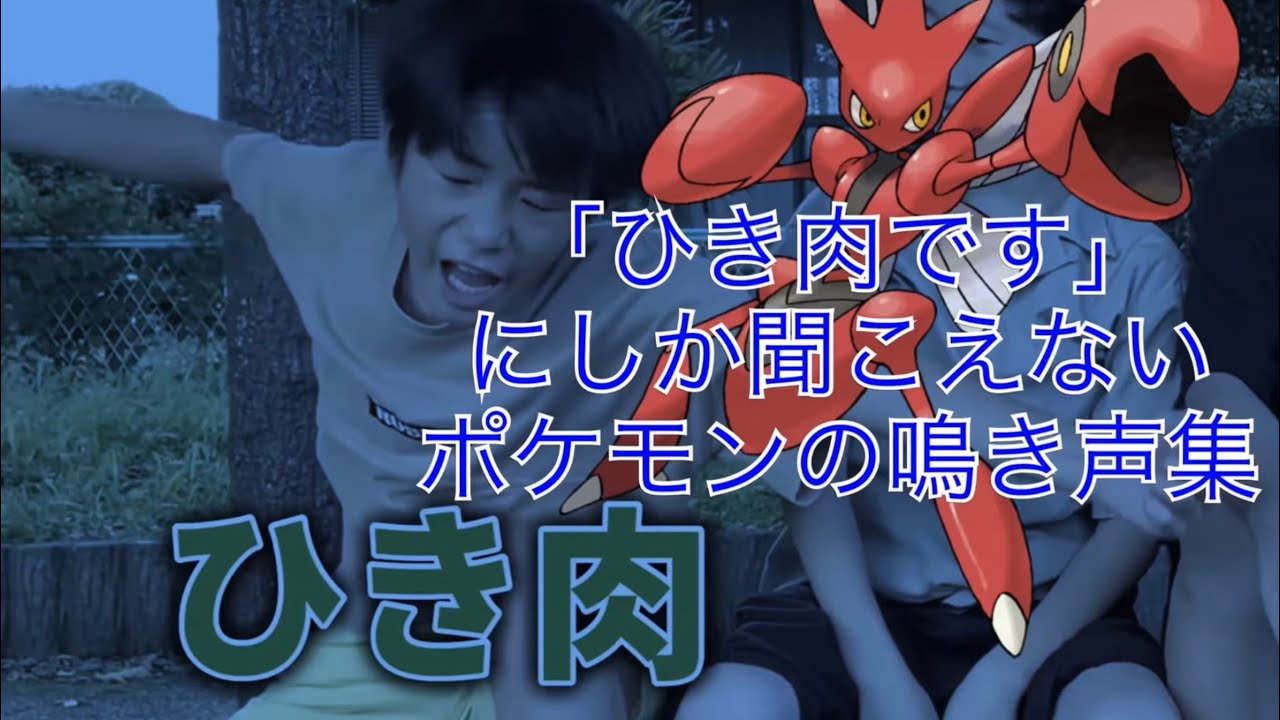 ひき肉です！にしか聞こえないポケモンの鳴き声集