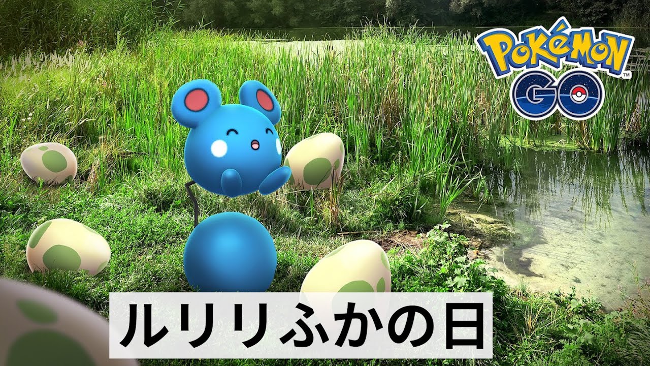 ルリリふかの日！ #ルリリ の為にタマゴの枠空けてられないでしょ...う～ん...一応外にはいるけど。