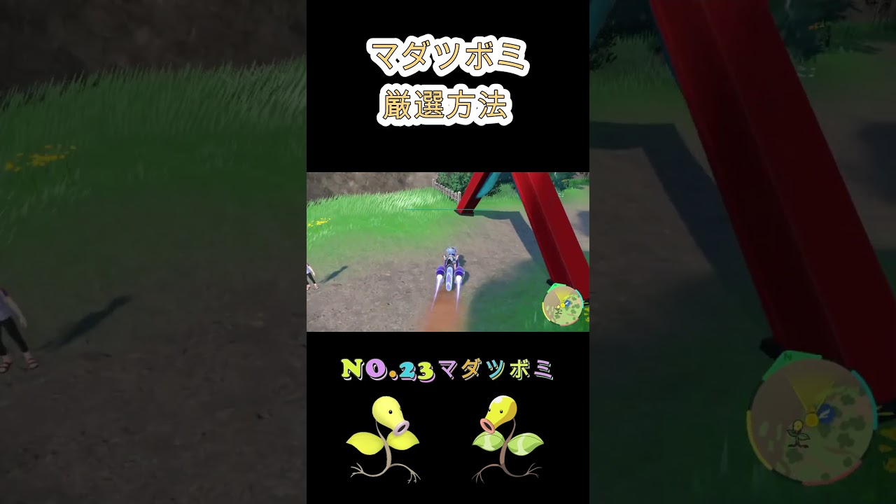 色違いマダツボミ簡単に入手する方法がやばいｗｗ【#ポケモンSV】