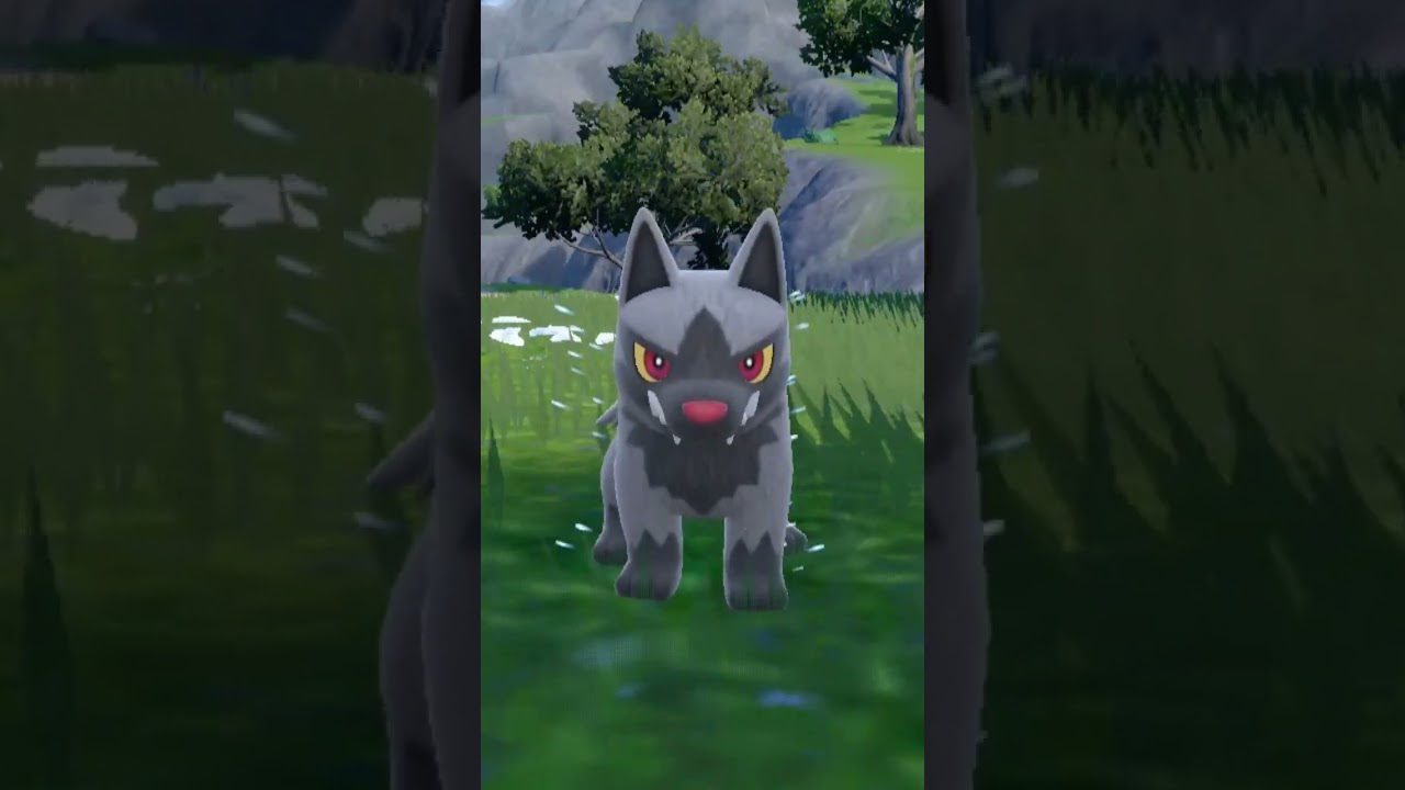 ポチエナPoochyena【ポケモンsv】