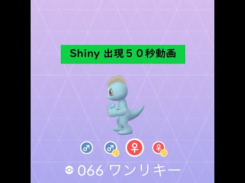 【ポケモンGO】色違い 出現50秒動画 ＃066 ワンリキー ☆shiny☆ #Shorts