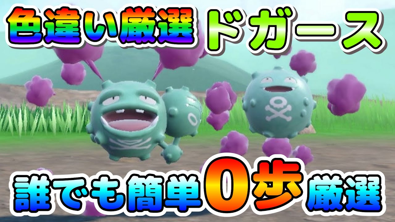 【色厳選】色違いドガースのオススメ厳選場所！大量発生無しで誰でも簡単０歩厳選！【ポケモンSV】