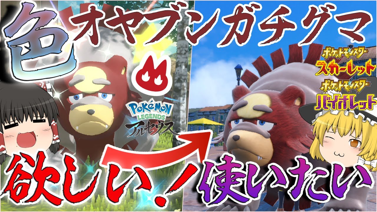 ヒスイ最強？レジェアル色オヤブンガチグマをつかまえて優越感に浸りたい！！【ポケモンＳＶ・レジェアル】【ゆっくり実況】