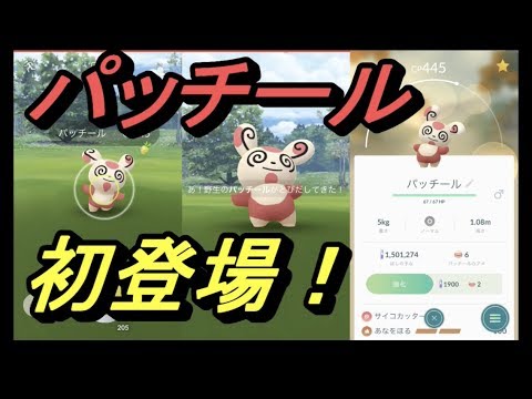 【ポケモンGO】パッチール初登場‼