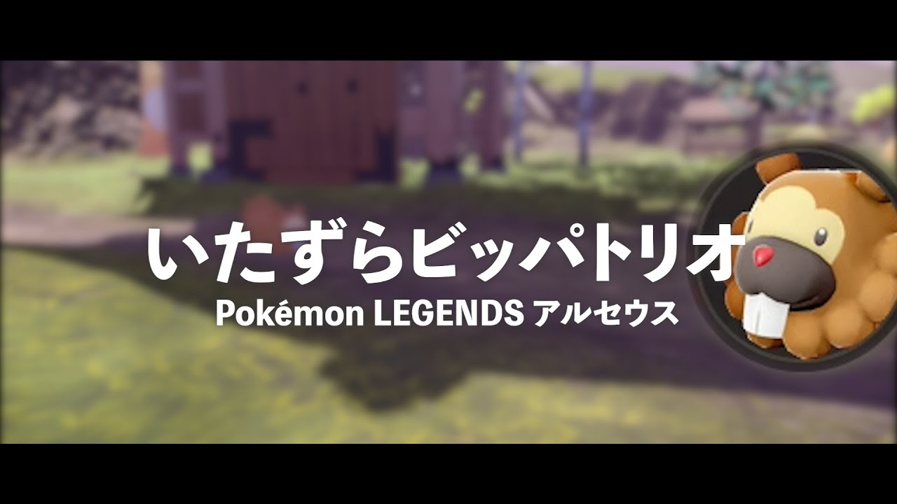 【Pokemon LEGENDS】サブ任務8「いたずらビッパトリオ」のビッパの隠れ場所