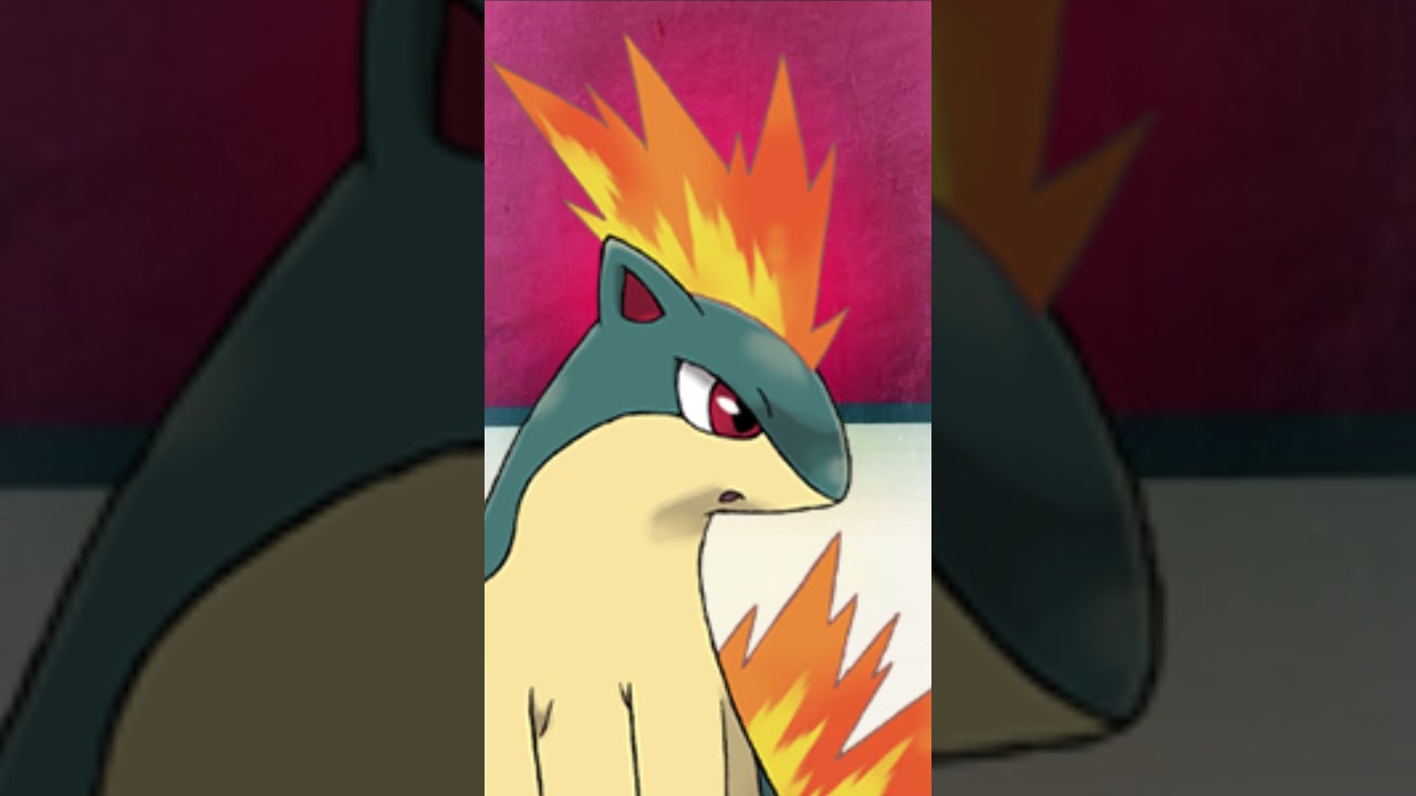 No.156 Quilava  #pokemon