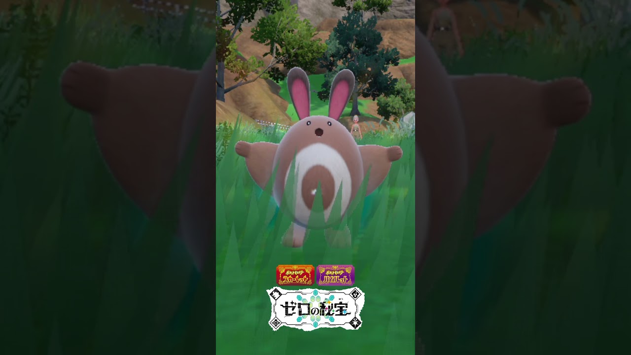オタチが進化するだけ『ポケモンSV』 #ポケモンsv #ポケモン #ゼロの秘宝 #碧の仮面  #shorts