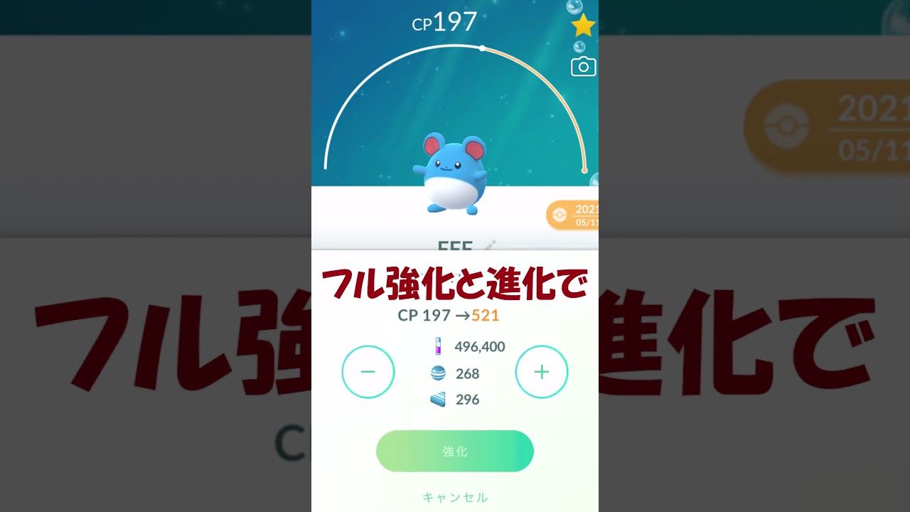 マリルリ🌊個体値100％PL50強化✨ #pokemongo #ポケモンgo #shorts