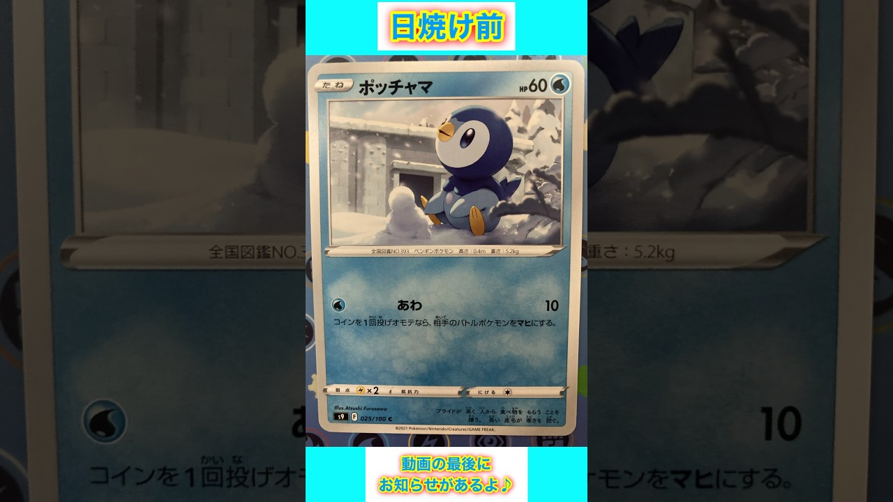 【ポケカ】ポッチャマを日焼けさせてみた #ポケカ #ポケモンカード