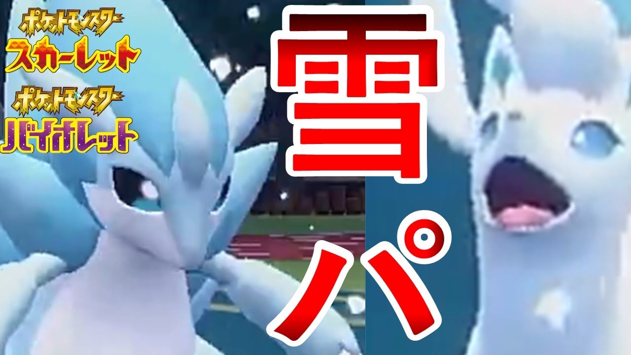 【コラボ】じーまーこうさんをアローラのサンドパンとキュウコンを使った雪パで“破壊”します【ポケモンSV】