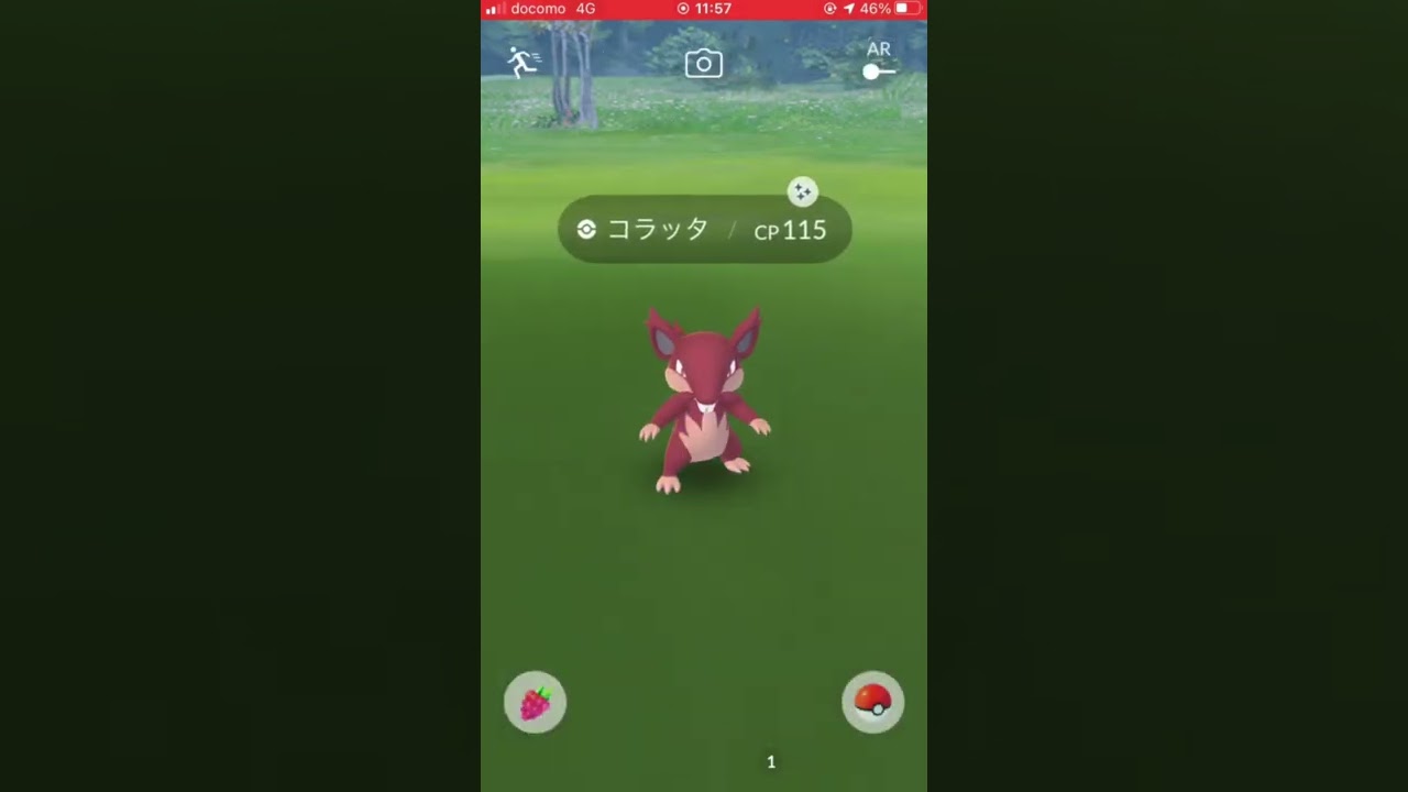 【イロチ✨図鑑】019アローラコラッタ✨Day #shorts #pokemongo #shinypokemon #Alolan  #Rattata #Shinypokedex