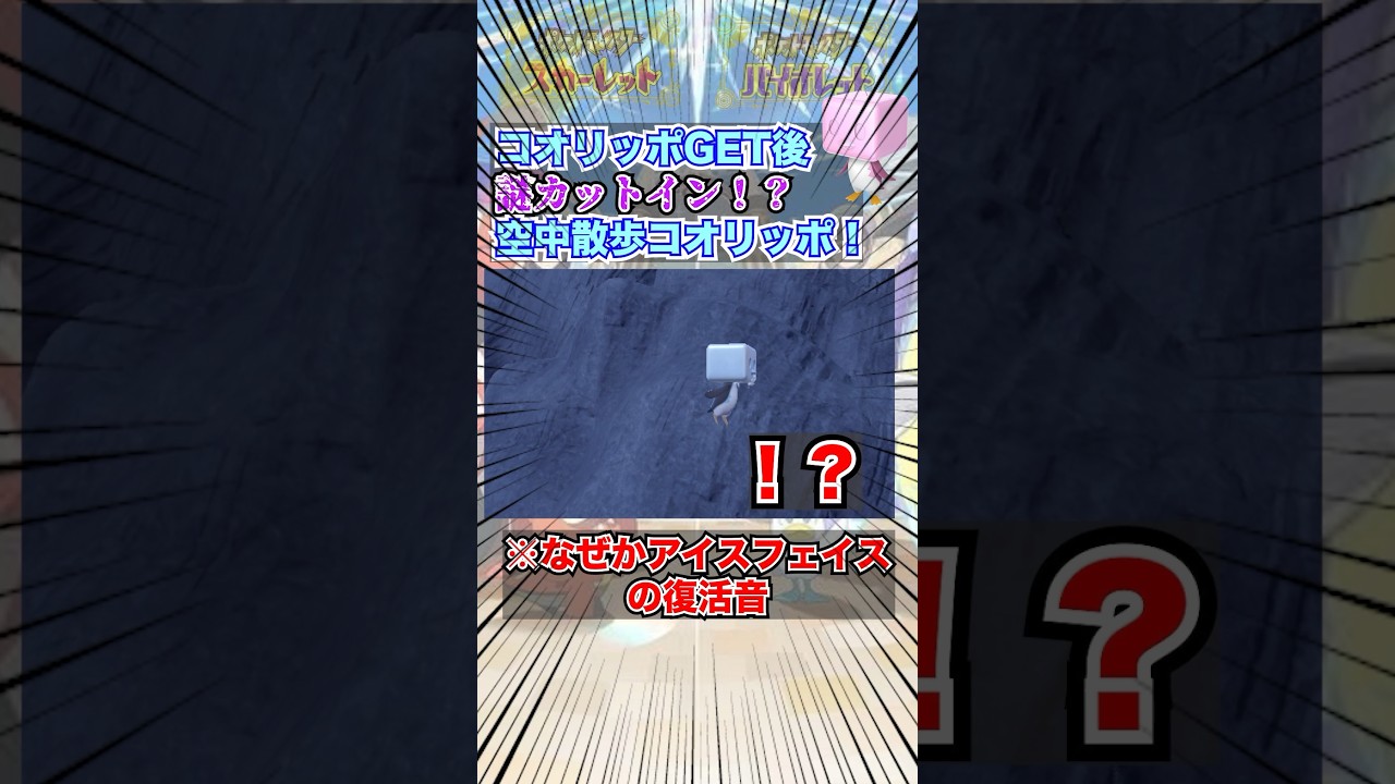 コオリッポの空中散歩