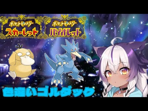 【ポケモンSV】色違いコダック → ゴルダック【ポケットモンスタースカーレットバイオレット】