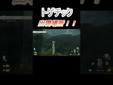 【ポケモンアルセウス】トゲチックを捕まえていく者！！トゲチック入手方法！！　#Shorts#図鑑埋め#切り抜き【Pokémon LEGENDS 】【ポケモン最新作】【ヒスイ地方の旅】【Togetic】