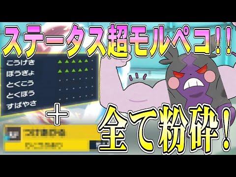 能力どんどんモルペコ!!火力全開で全て吹っ飛ばす!!【ポケモンSV】【ゆっくり実況】