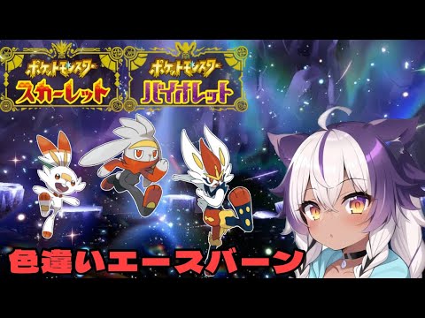 【ポケモンSV】色違いヒバニー → ラビフット → エースバーン【ポケットモンスタースカーレットバイオレット】
