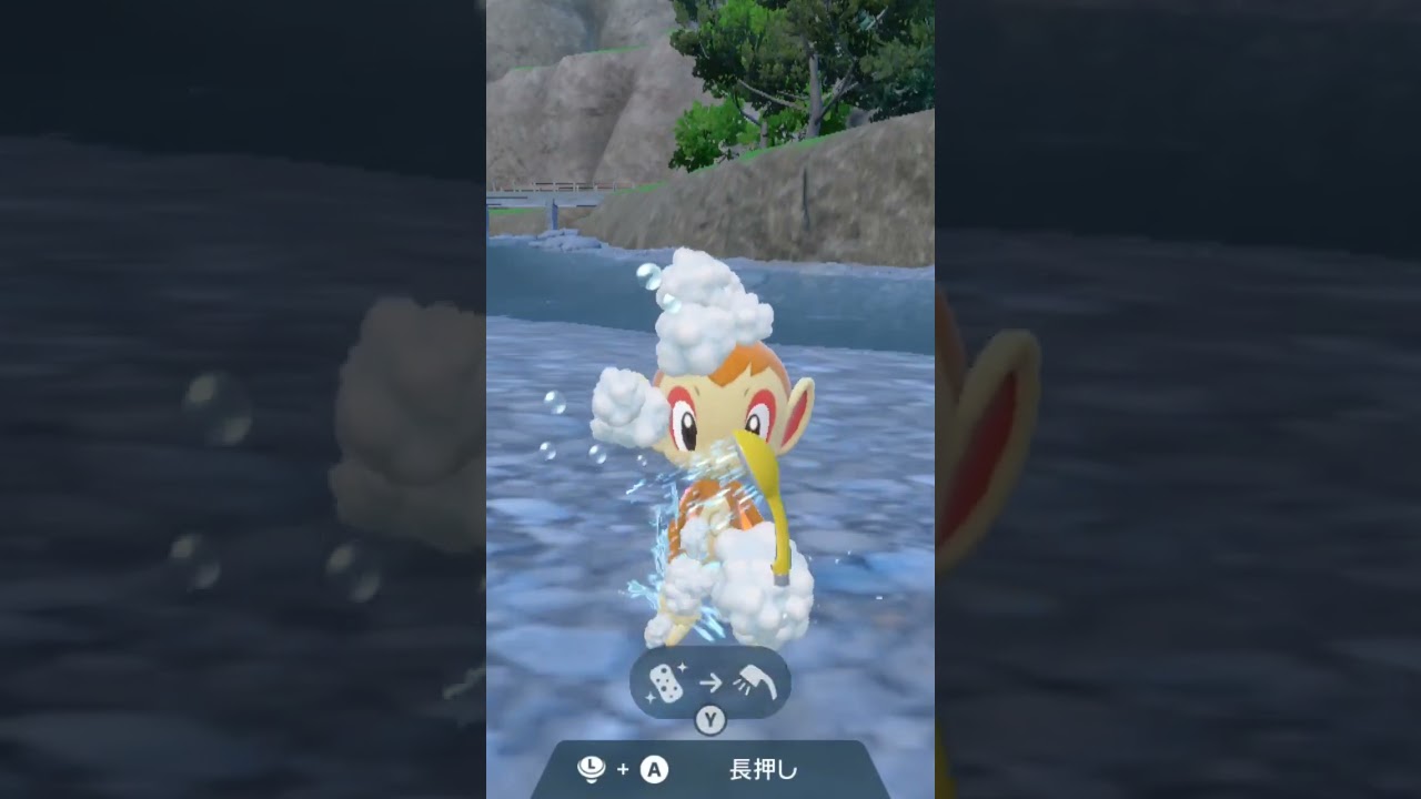 ヒコザル Hikozaru【ポケモンsv】